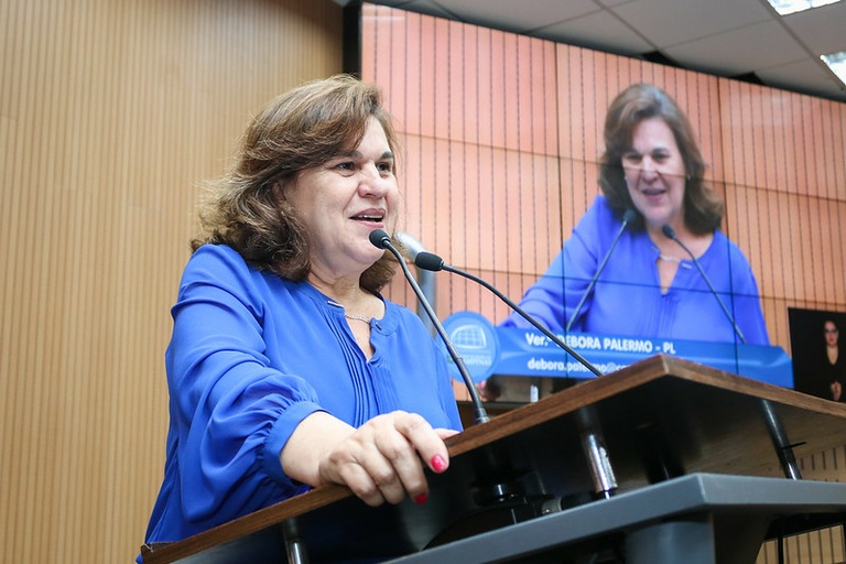 Debora Palermo reivindica construção de novos retornos e passagem elevada na Rodovia Heitor Penteado