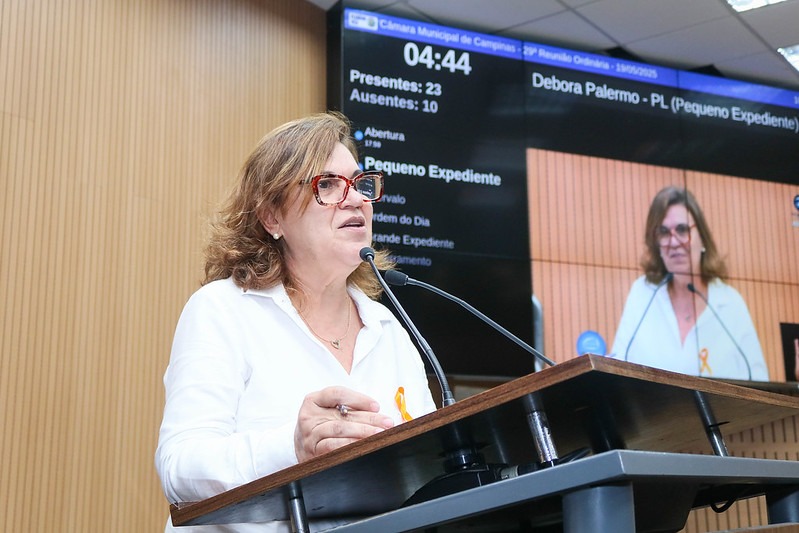 Debora Palermo solicita atualização da Lei dos Conselhos Tutelares em Campinas