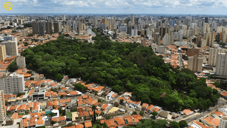 TV Câmara no fim de semana traz estreia com lugares inusitados no Bosque, além de temas sociais, de saúde e histórias inspiradoras
