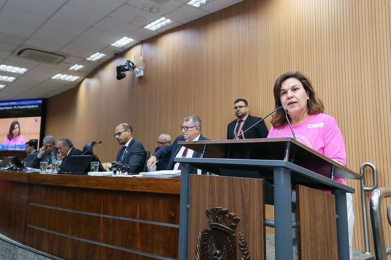 Frente Parlamentar pretende incentivar destinação do Imposto de Renda aos fundos sociais da cidade
