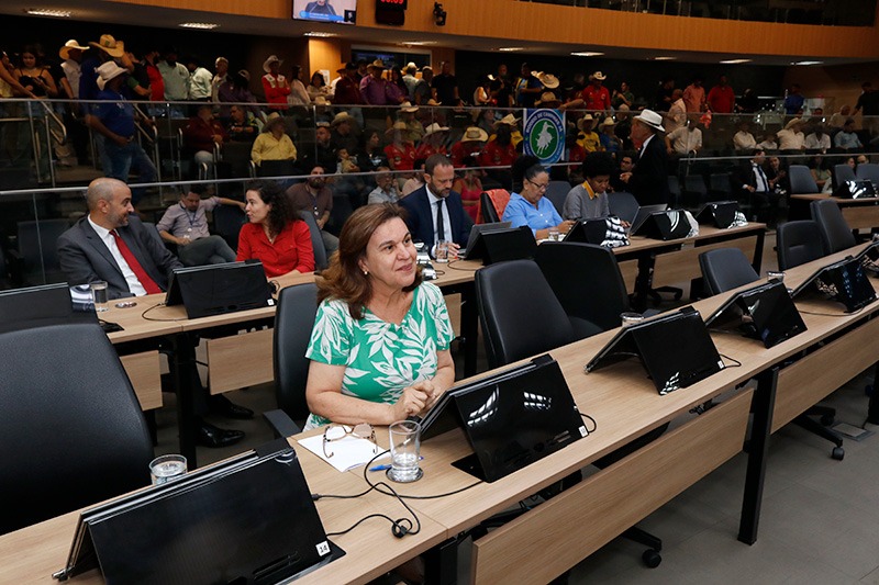 No Dia Nacional de Combate ao Bullying, Frente Parlamentar discute o tema e formas de enfretamento 