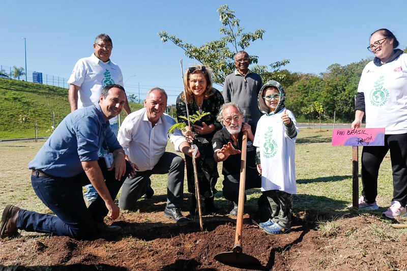 Em comemoração ao aniversário da cidade, Câmara promove plantio de 25 mudas; meta é chegar ao cultivo de 250 árvores nativas