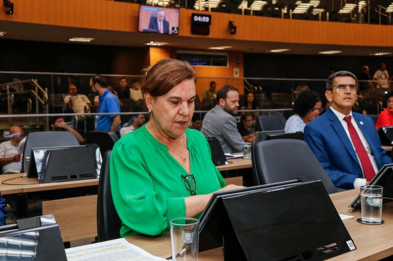 Debora Palermo propõe criação do Programa Escola Acolhedora em Campinas