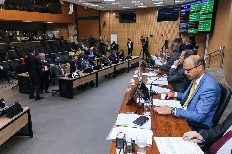 Câmara vota aprimoramento do processo de execução do Programa Banco de Ração e Utensílios para Animais