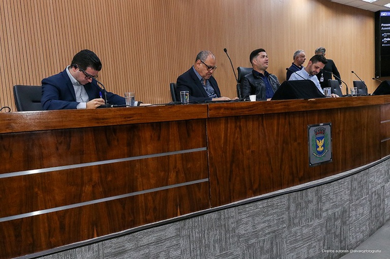 Comissão de Constituição e Legalidade debate projeto que cria Programa Municipal de Prevenção e Controle das Arboviroses 