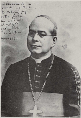 Cônego Nery - foto.png